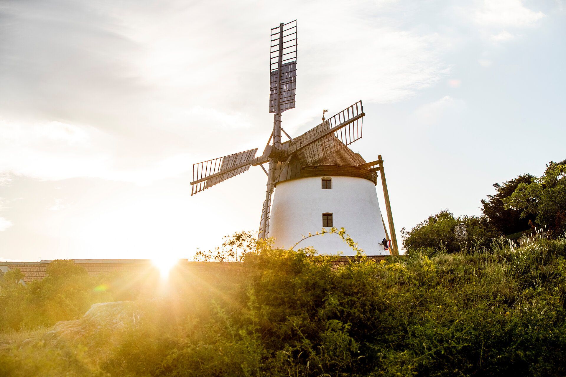 The majestic windmill sits gently in the light of the setting sun and adds a touch of nostalgia to the landscape. Surrounded by lush greenery and flowering plants, this place invites you to enjoy the peace and beauty of nature.
