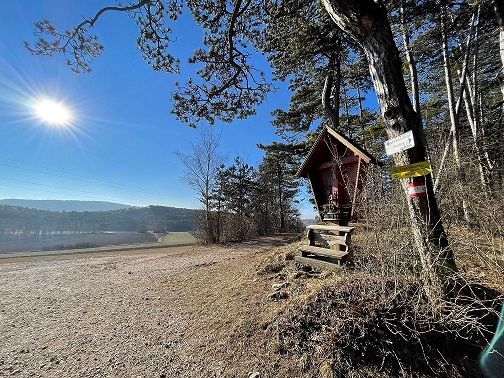 A sunny viewpoint with a small wooden hut and signposts on a tree.