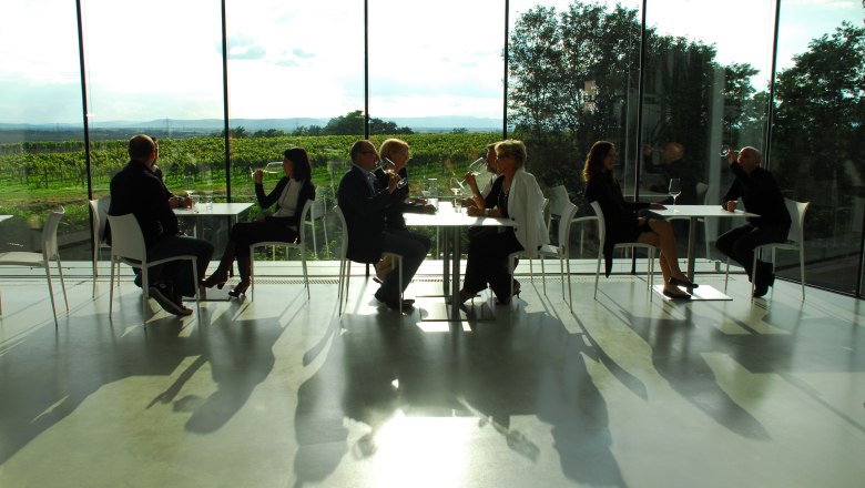 People sit in a modern wine bar with a view of vineyards.
