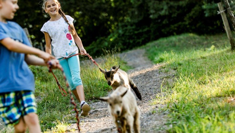 Vacation at the Zwergerlhof, © schwarz-koenig.at