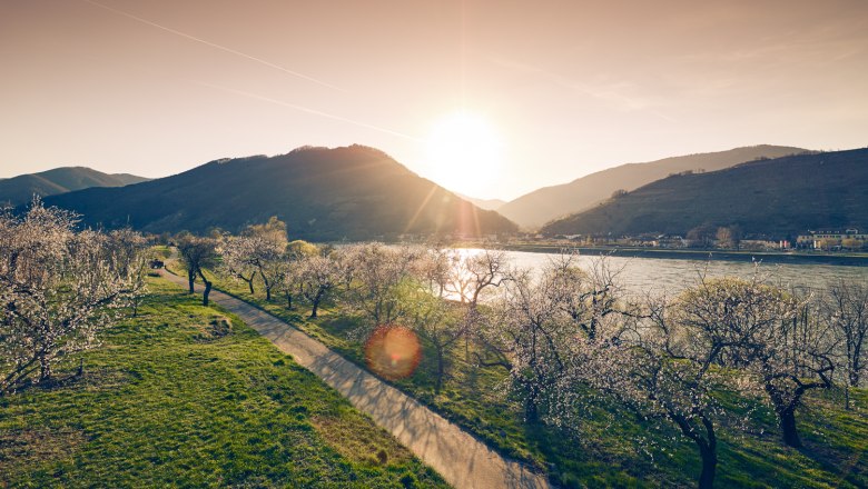 Spring in the Wachau, © Andreas Hofer