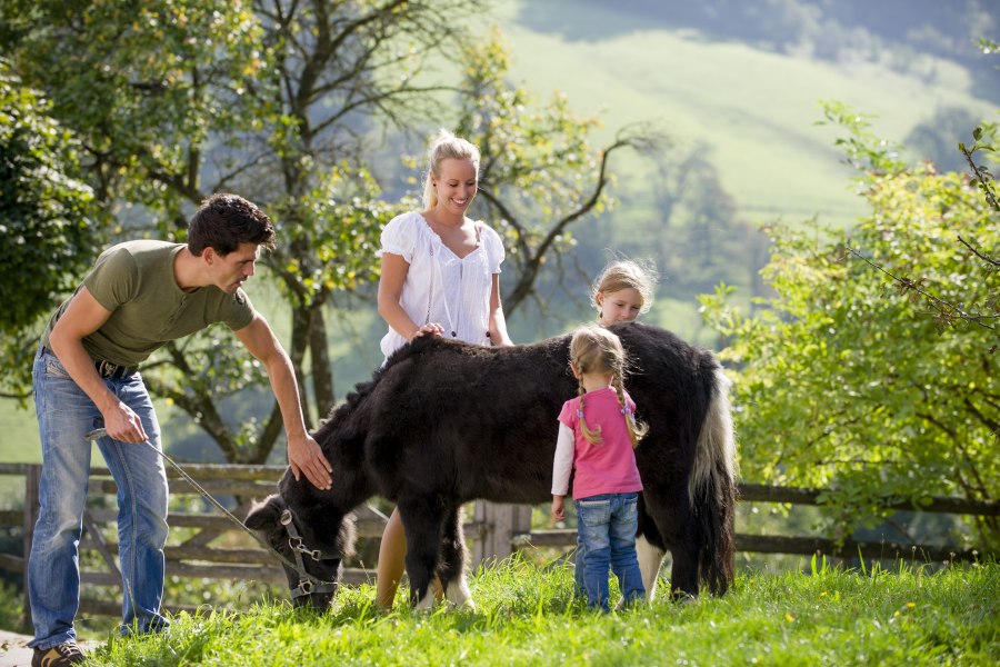 Farm holidays, © Karin Lohberger