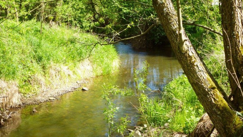Waldviertel Seminar House Gauguschmühle, © Waldviertler Seminarhaus Gauguschmühle Waldviertel Seminar House Gauguschmühle, © Waldviertler Seminarhaus Gauguschmühle