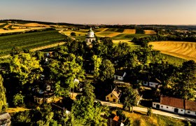 Landscape with fields, trees and a small church in the middle.