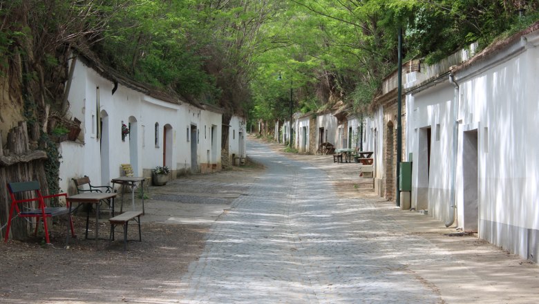 A quiet wine cellar lane in Poysdorf with white wine cellars and green trees in summer.