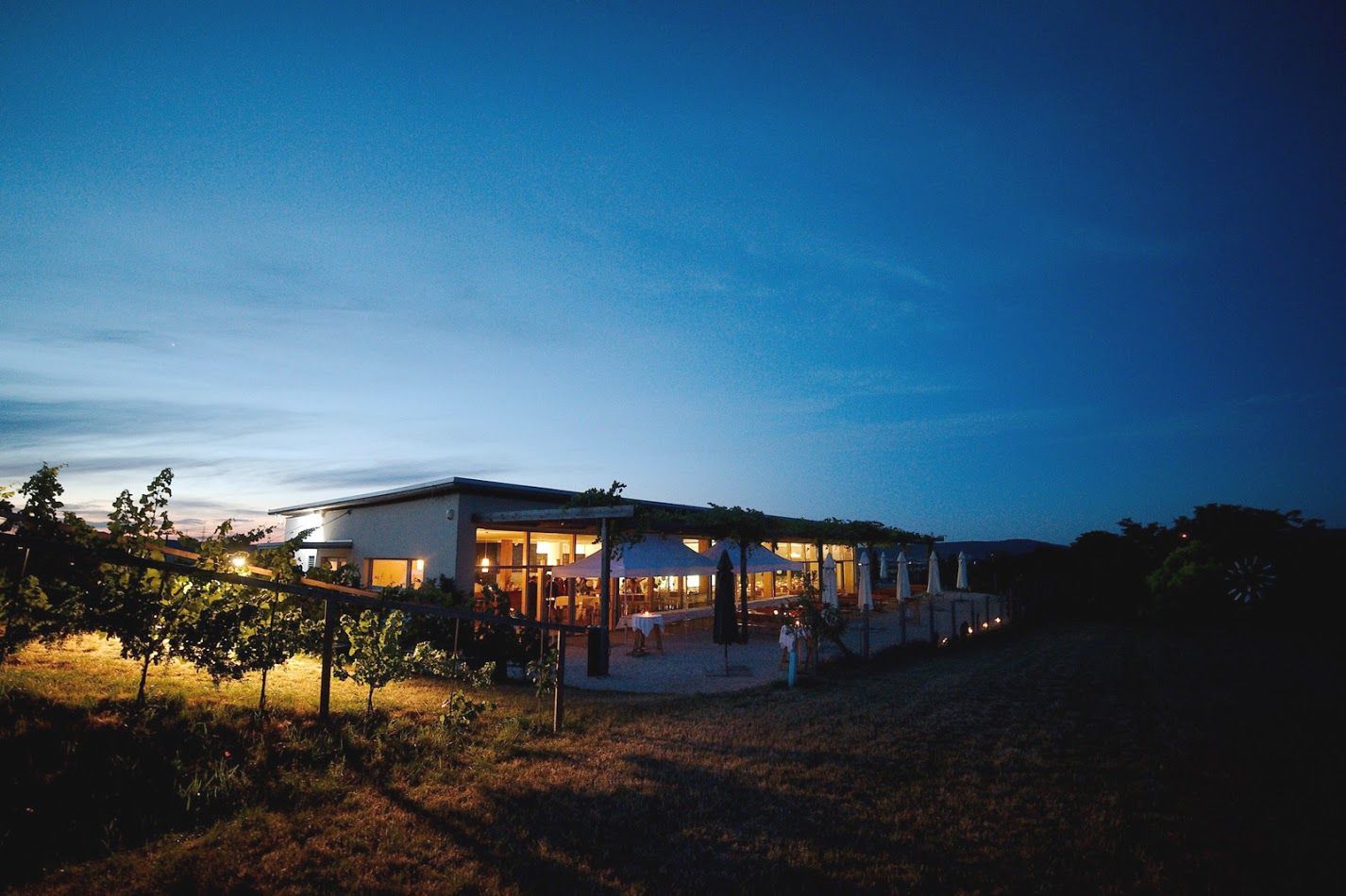 Evening shot of an illuminated Buschenschank (typical tavern) with vines in the foreground and a blue sky in the background.
