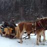 Sledging in winter, © Familie Gasteiner