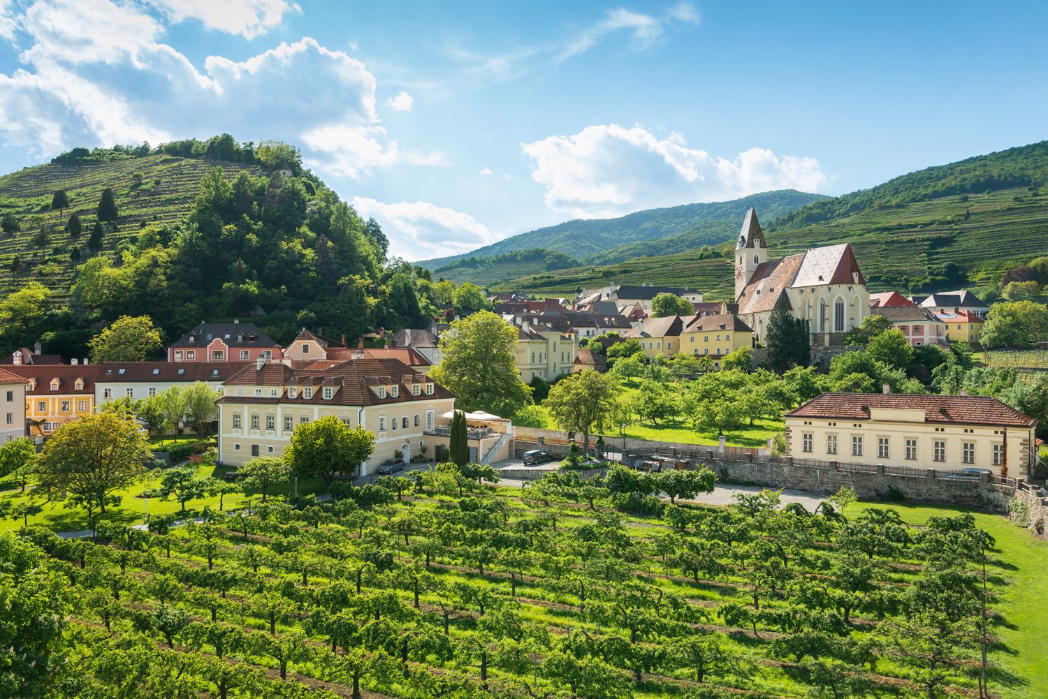 Landscape with vineyards, church and houses in Spitz, Austria.