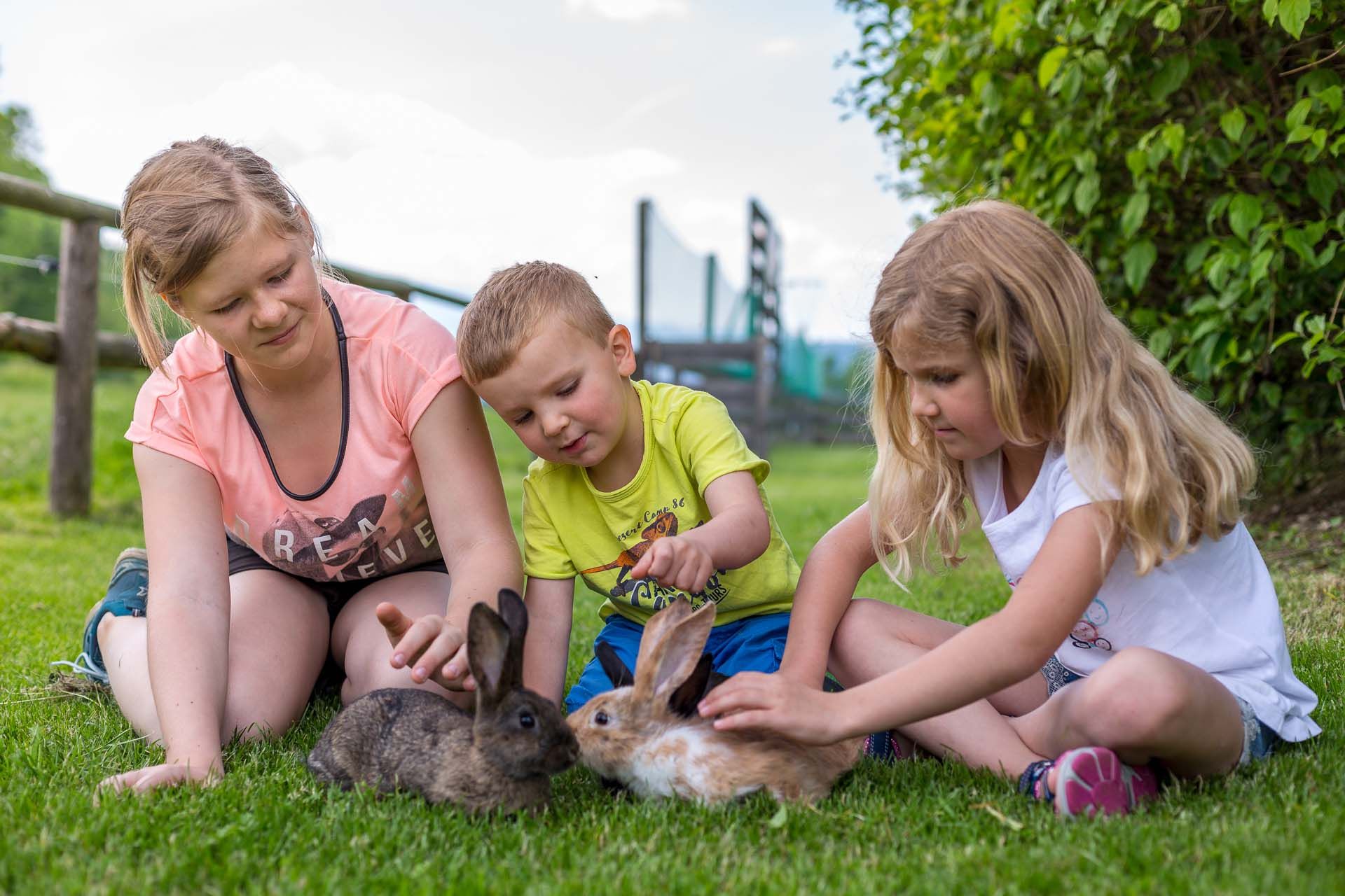 Three children are sitting in a meadow and stroking two rabbits.