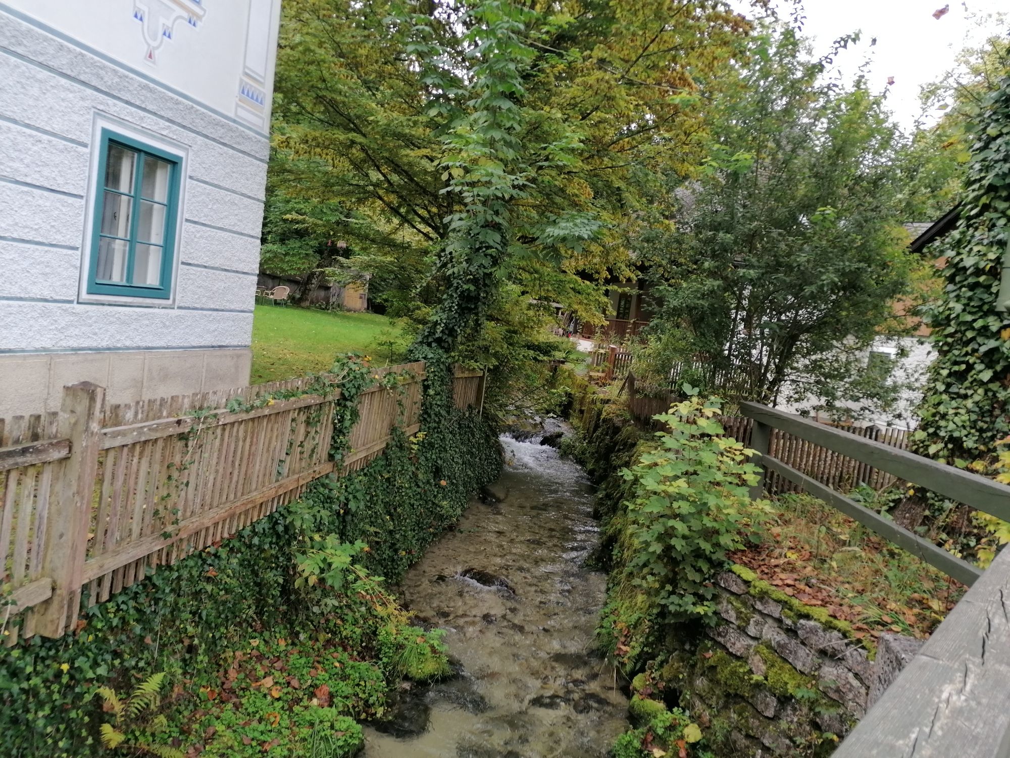 A small stream flows between a house and a wooden fence, surrounded by trees and plants.