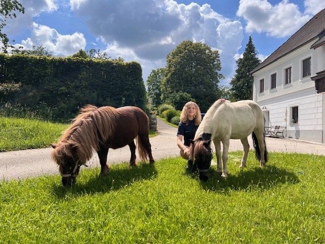 Ponies at Landhaus Aigner (1)