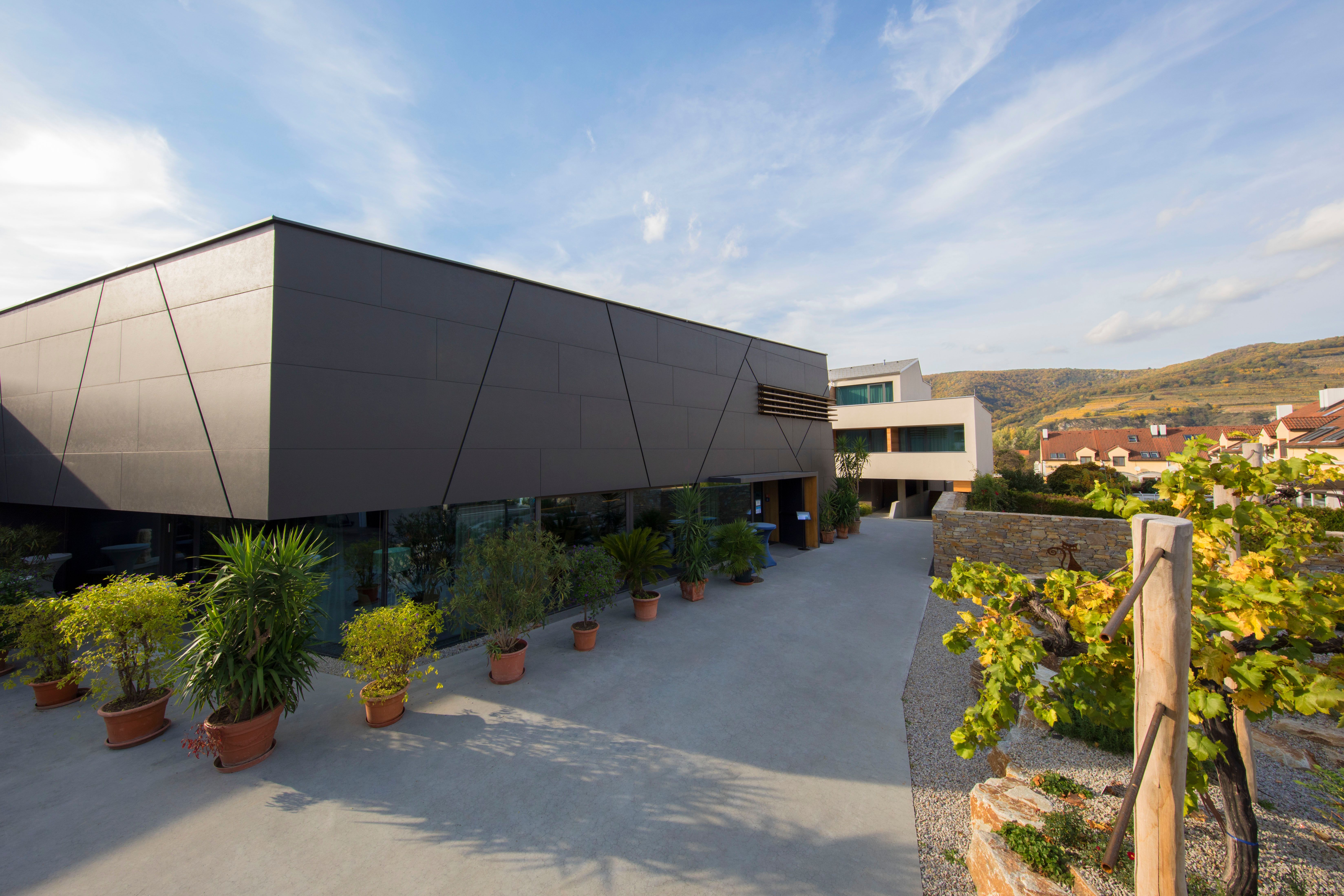 Wine lodge surrounded by vineyards