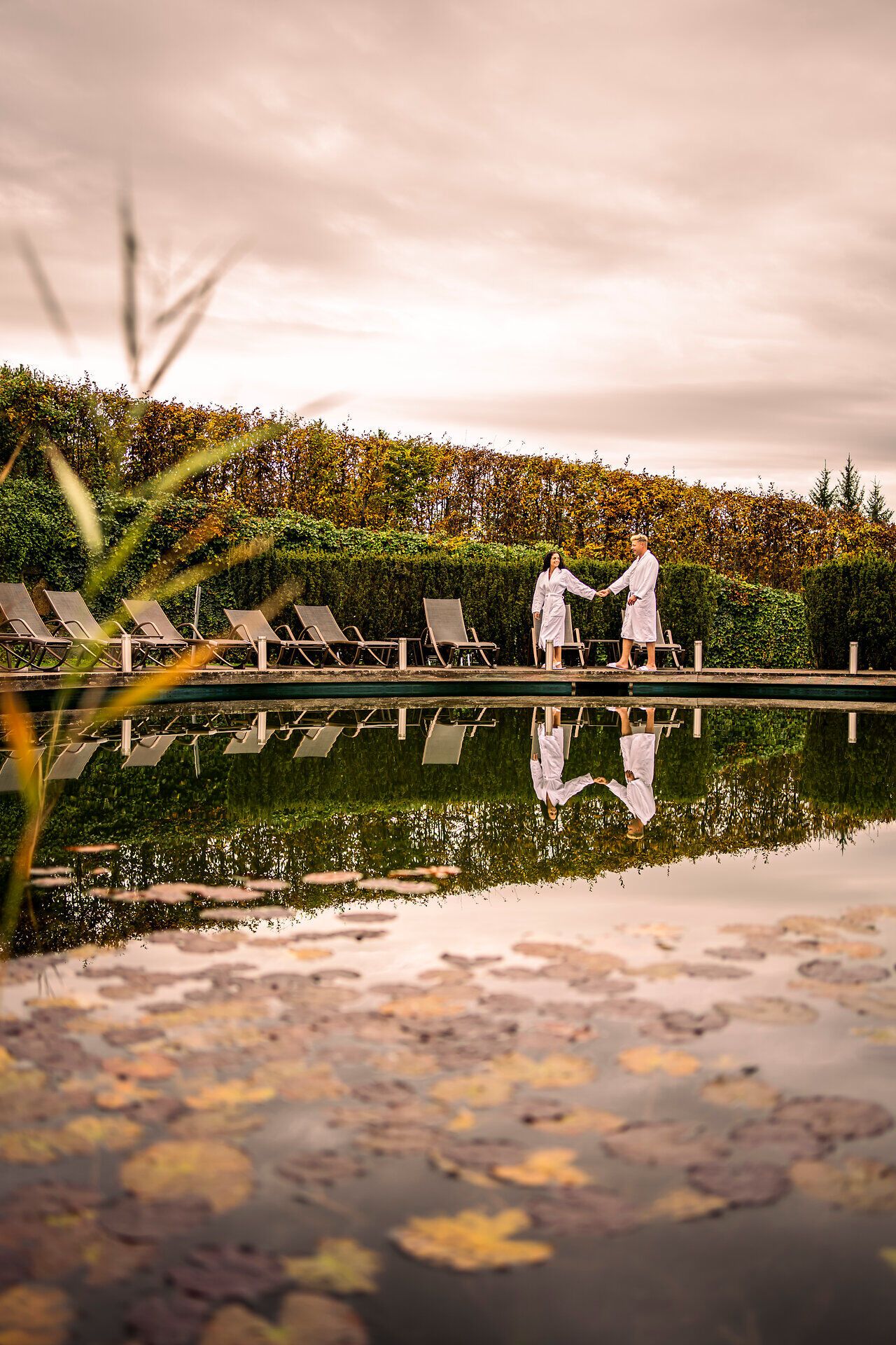 Hotel Schwarz Alm Zwettl with natural pond and sun loungers, surrounded by green countryside.