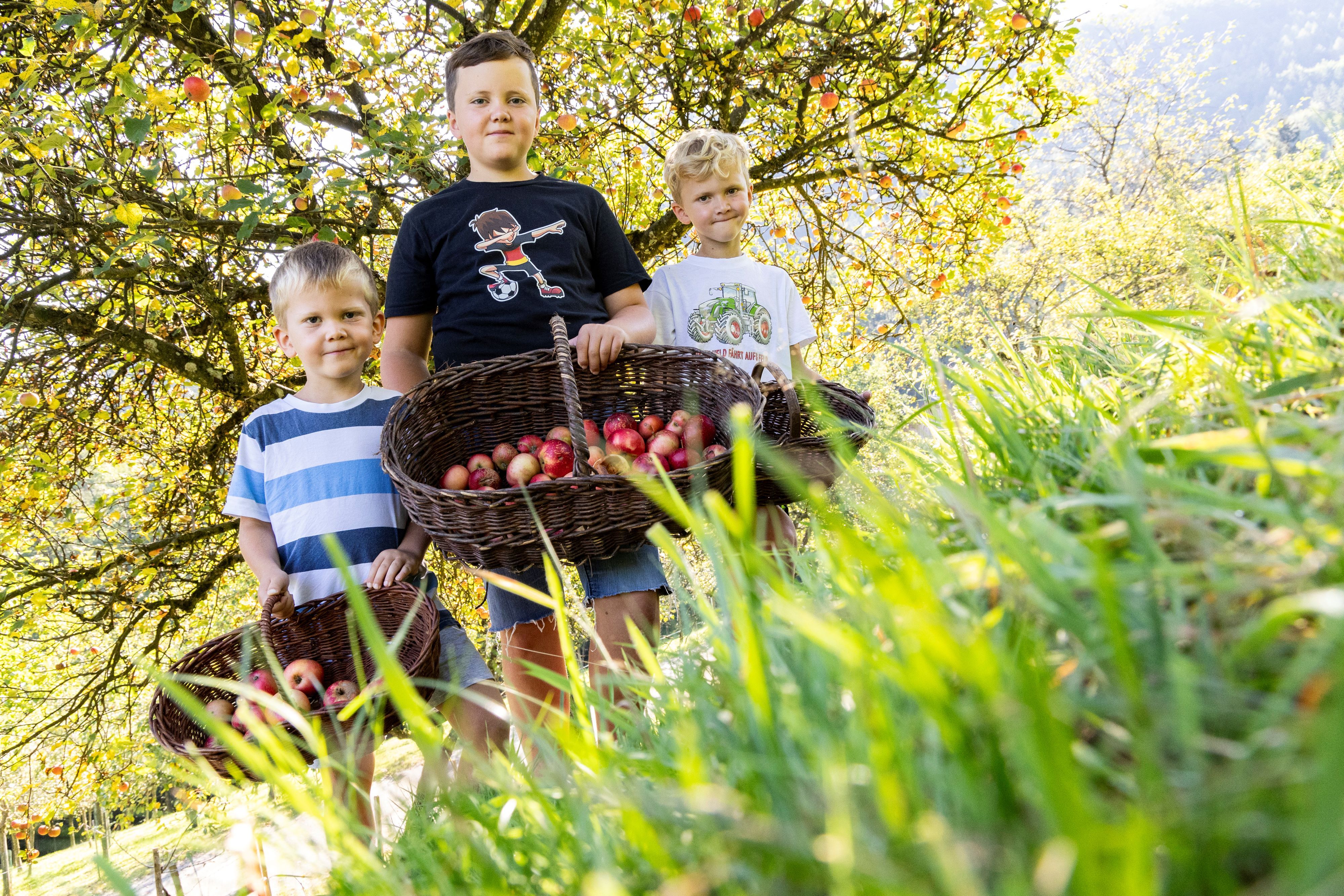 Organic farm Phyrabauer