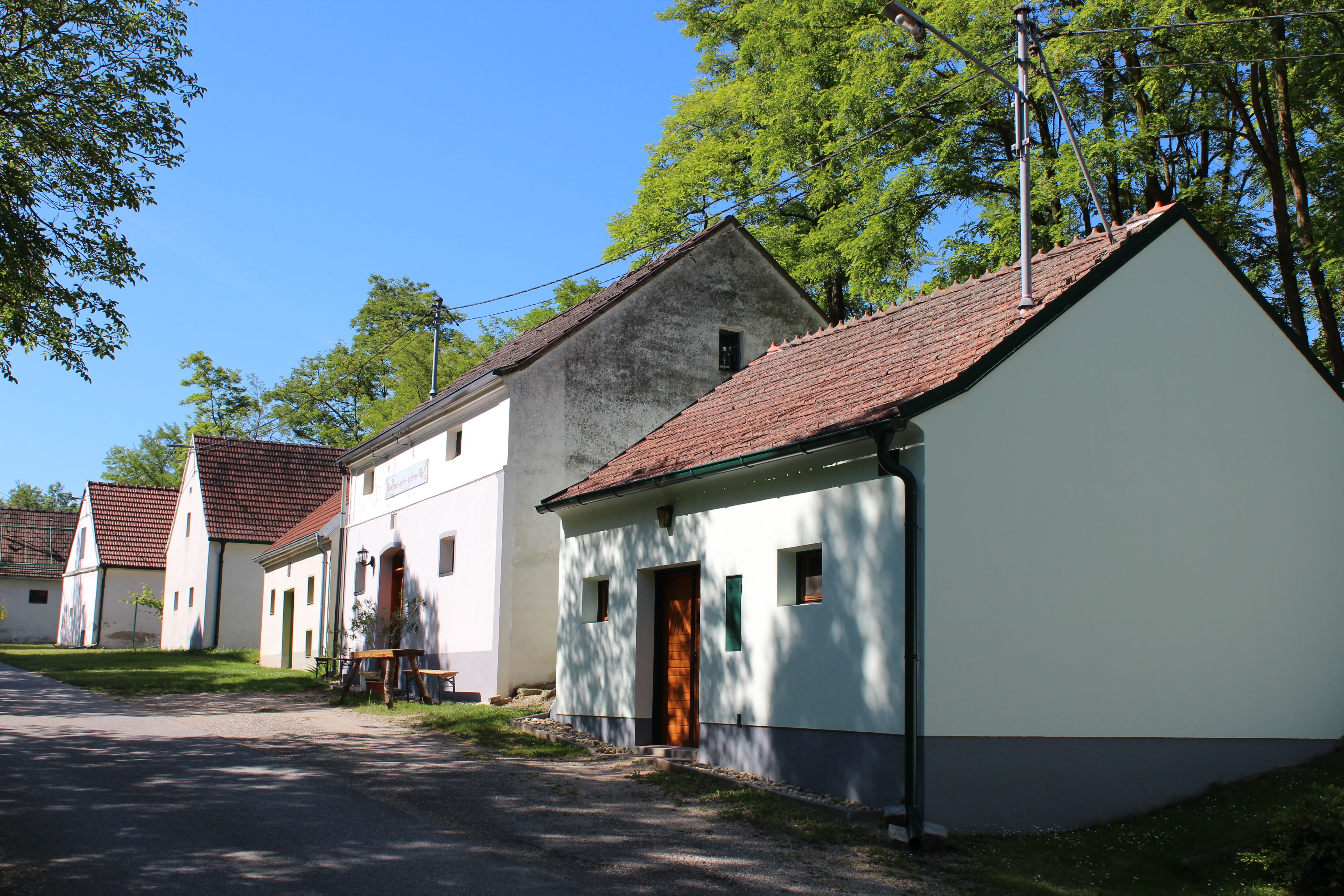 Row of traditional wine cellars in a rural setting with trees and blue skies.