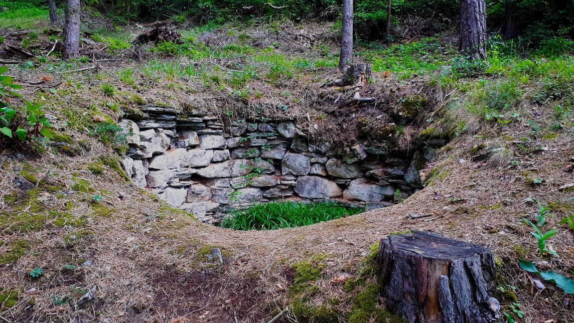 Lime kiln in the forest