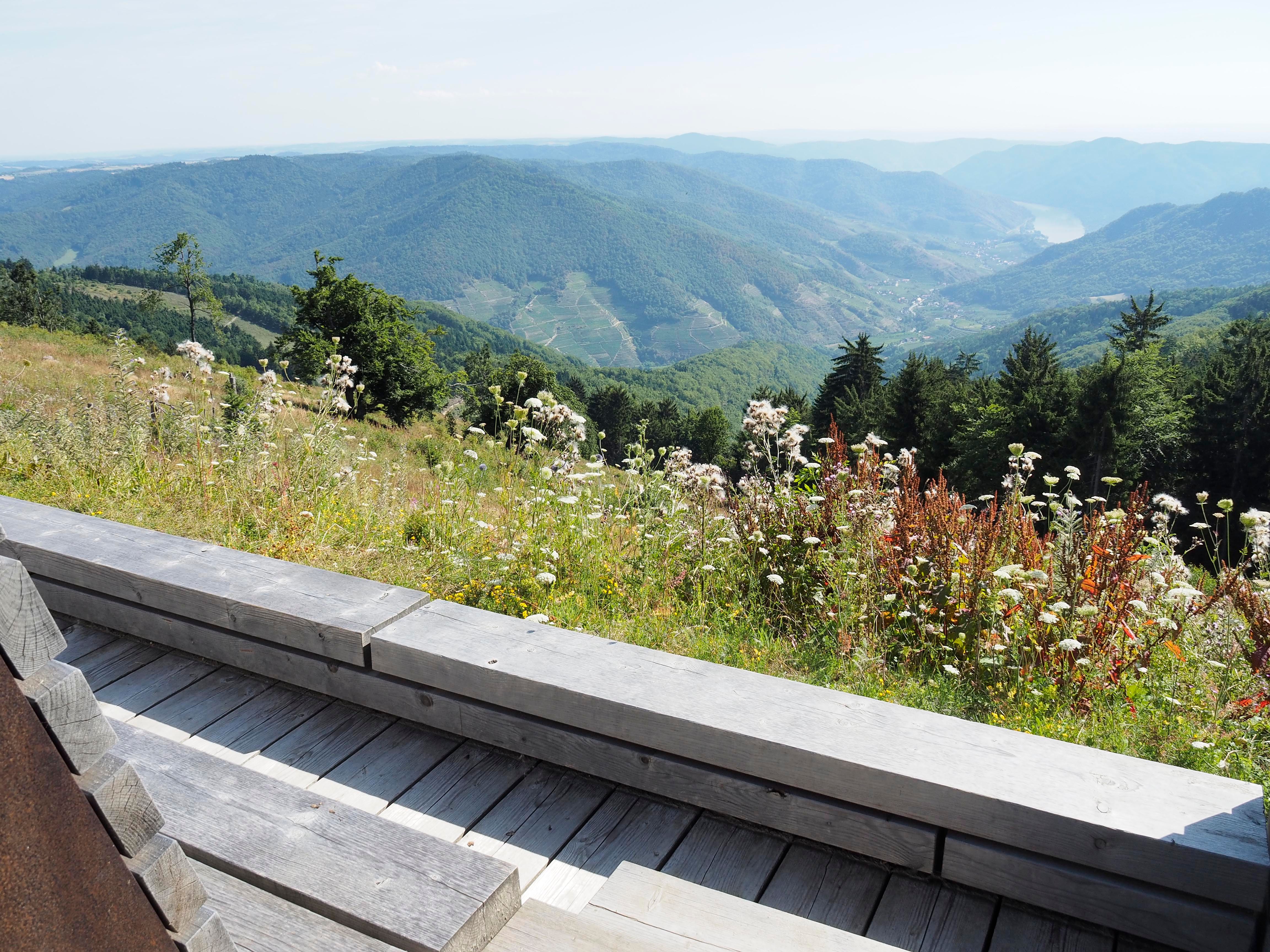 View of a hilly landscape with meadows and forests from a wooden deck.