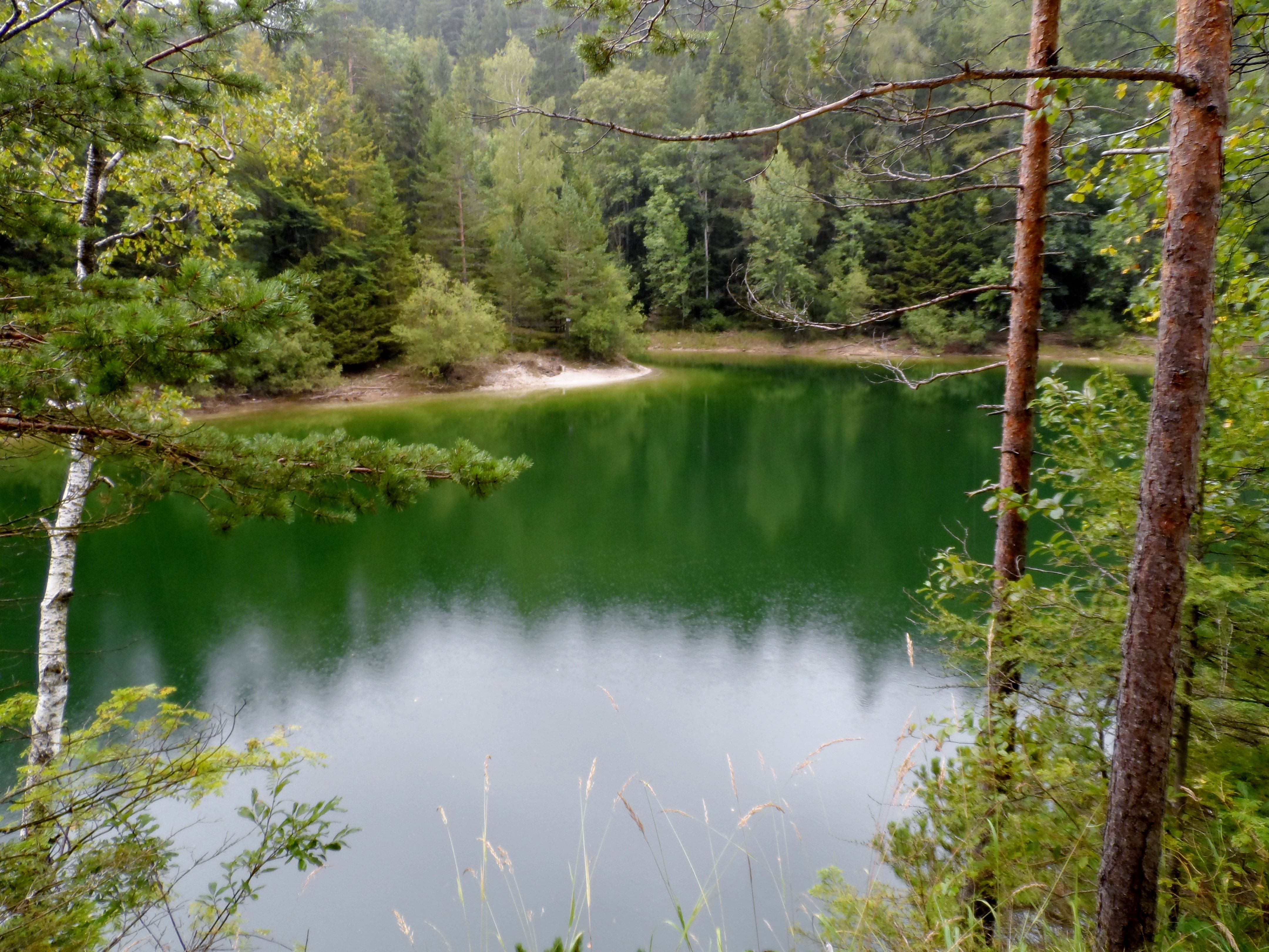 A green lake surrounded by trees and forest.