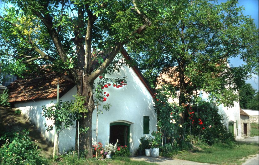 White house with a red roof, surrounded by trees and flowers.