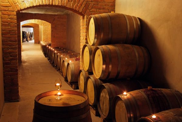 A wine cellar with stacked wooden barrels and a glass of wine on a barrel.
