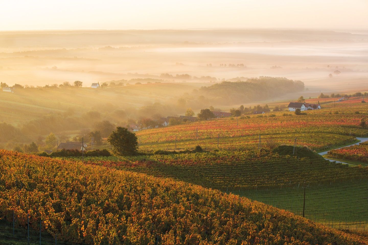 BERNSTEIN TRAIL Eastern route | Pleasure hiking between the Alps and the Puszta