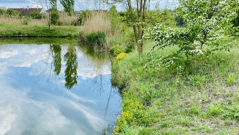 Watzelsdorf Water World
