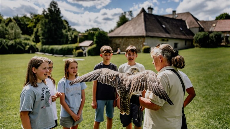 Lower Austrian Falconry and Birds of Prey Center, © Waldviertel Tourismus, Matthias Streibel
