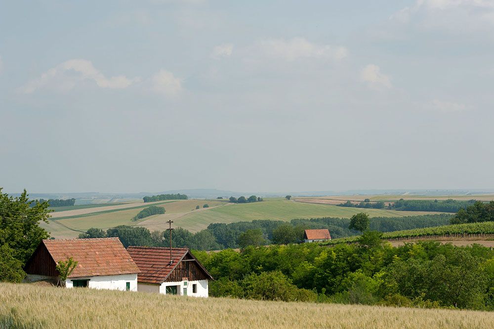 Landscape with fields, trees and two small houses with red roofs.