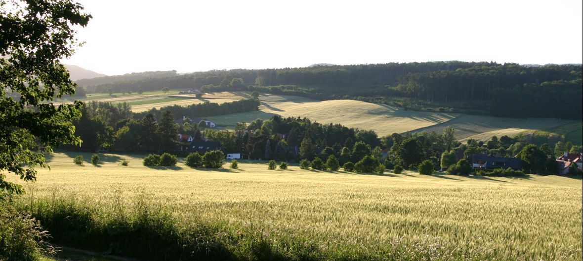 Landscape with fields, trees and houses in the background.