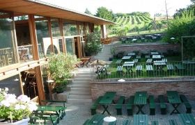 An outdoor area of a restaurant with green wooden tables and benches, surrounded by vineyards.