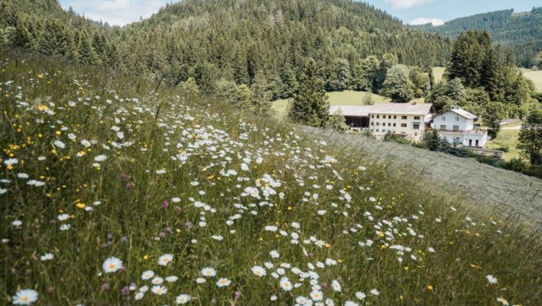 Organic farm Teufel, © Gerald Demolsky