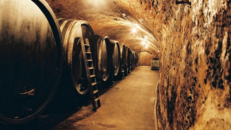 A wine cellar with large wooden barrels on the walls and a ladder leaning against one of the barrels.