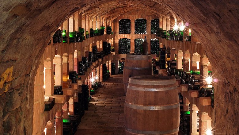 Wine cellar with wooden barrels and wine bottles on shelves.