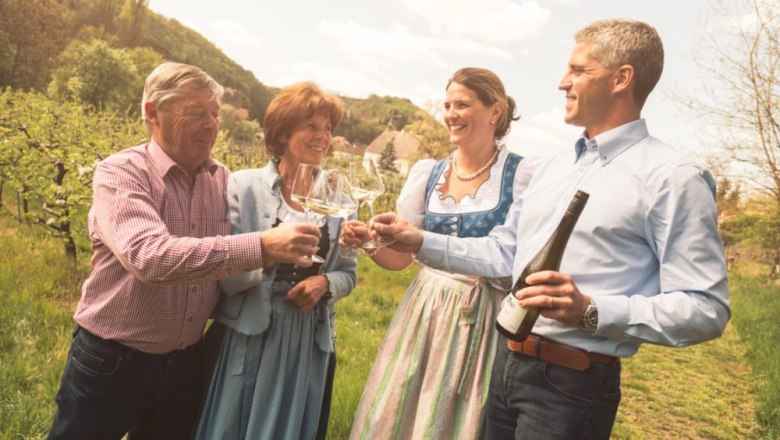Four people clink glasses in a vineyard.