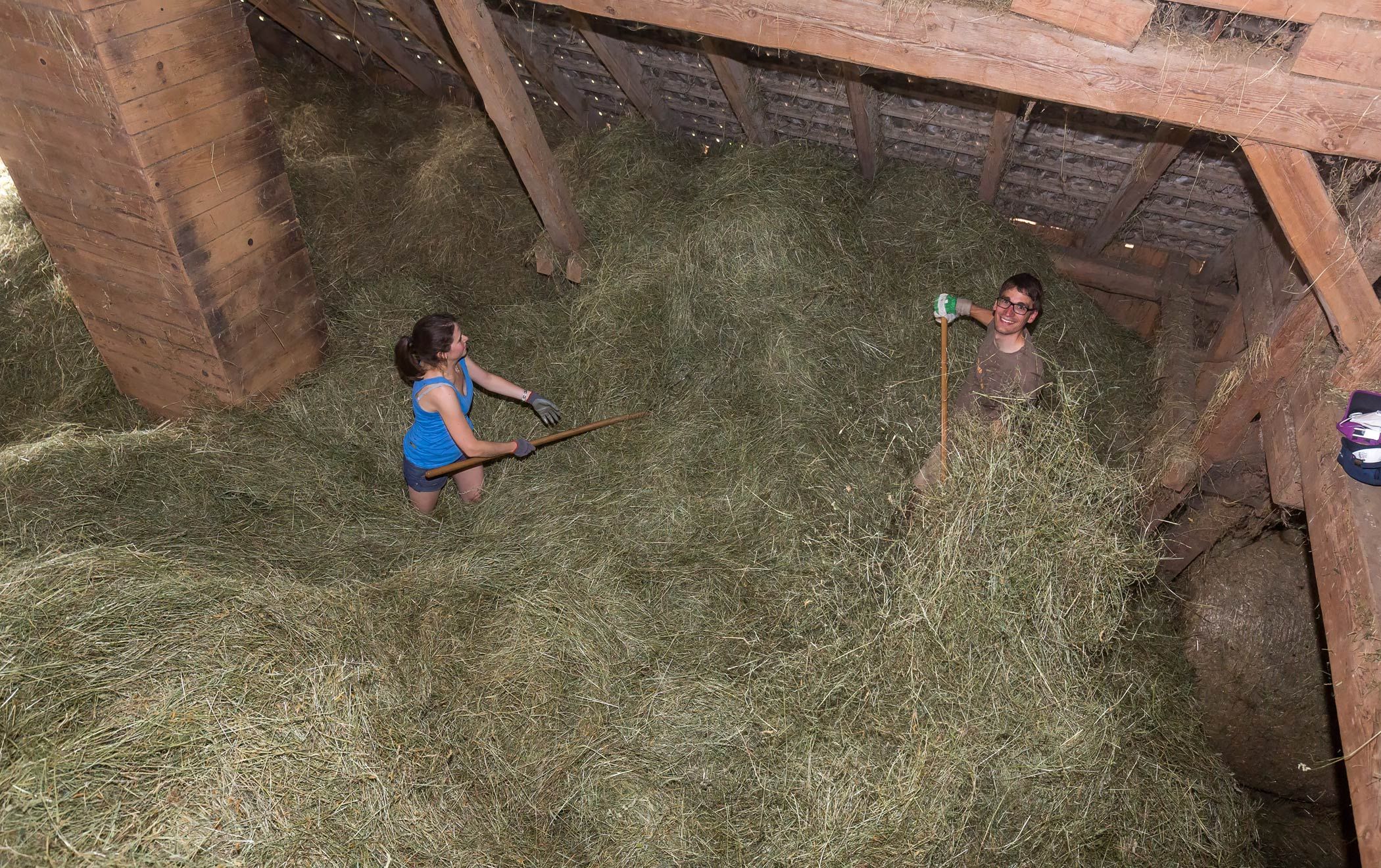 Two people working in a hayloft with pitchforks.