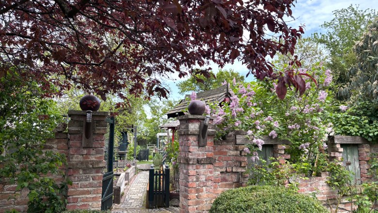 An idyllic garden with a brick wall, flowering lilac bushes and an archway under a tree with red leaves.