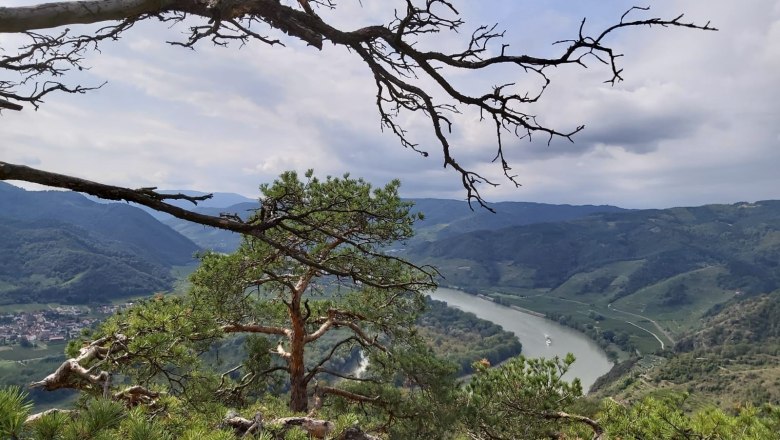 View of a river from a hill, surrounded by green hills and trees in the foreground.