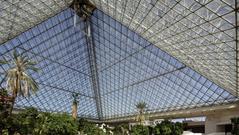 Interior view of a large glass pyramid with plants and palm trees.