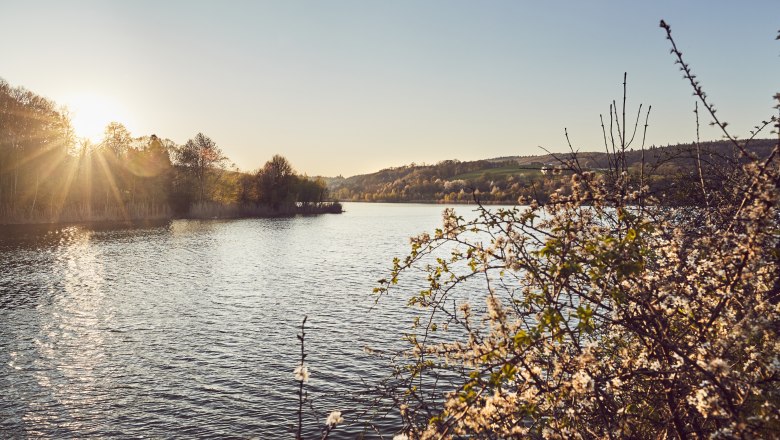 Lake Wienerwald: the largest still body of water in the Wienerwald., © Andreas Hofer