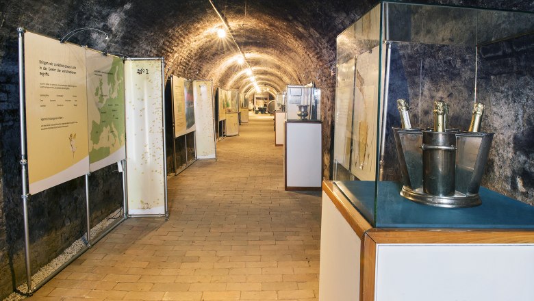 An exhibition room in a wine cellar with information boards and bottles of sparkling wine in tubs.
