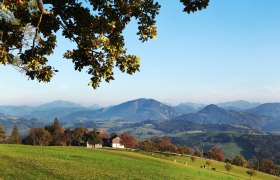 View over the expansive landscape along the panoramic high trail, &copy; weinfranz.at
