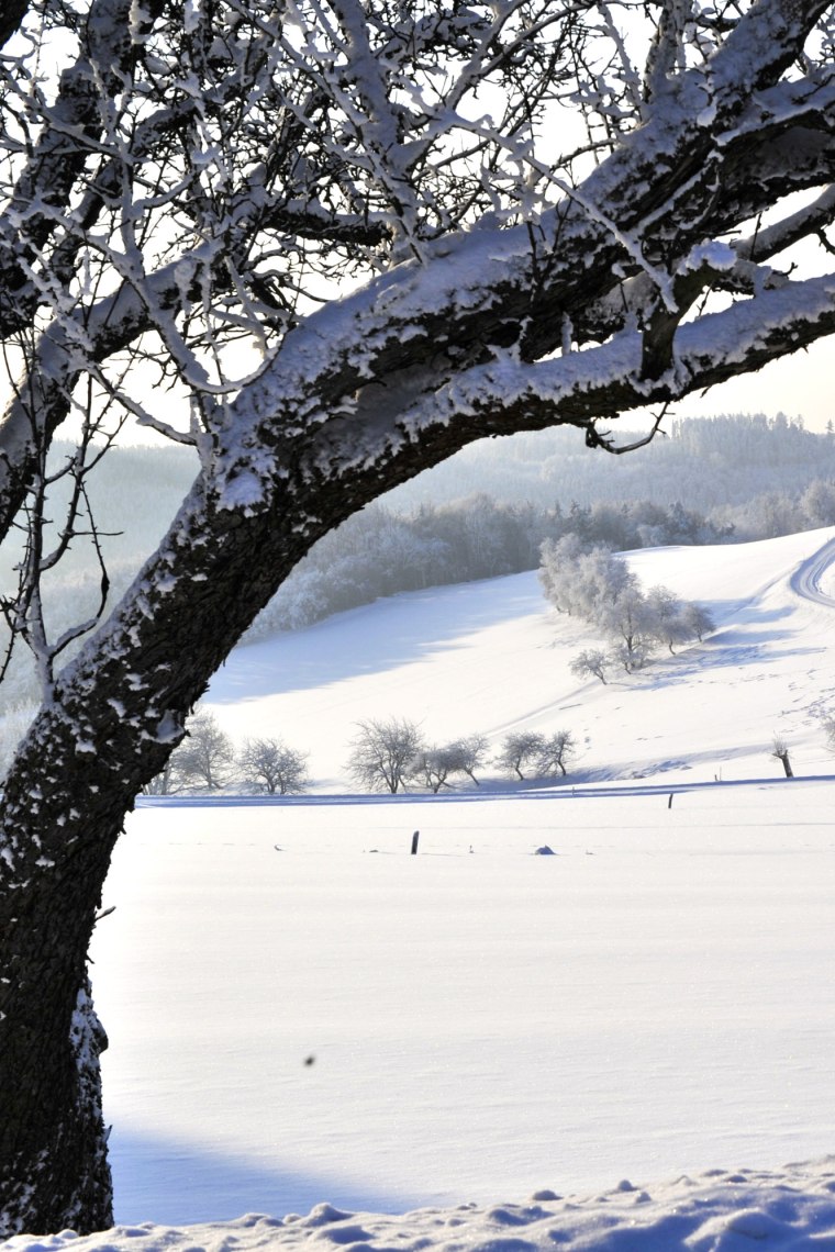 Winter views on the Jauerling., © Naturparke Niederösterreich/Robert Herbst