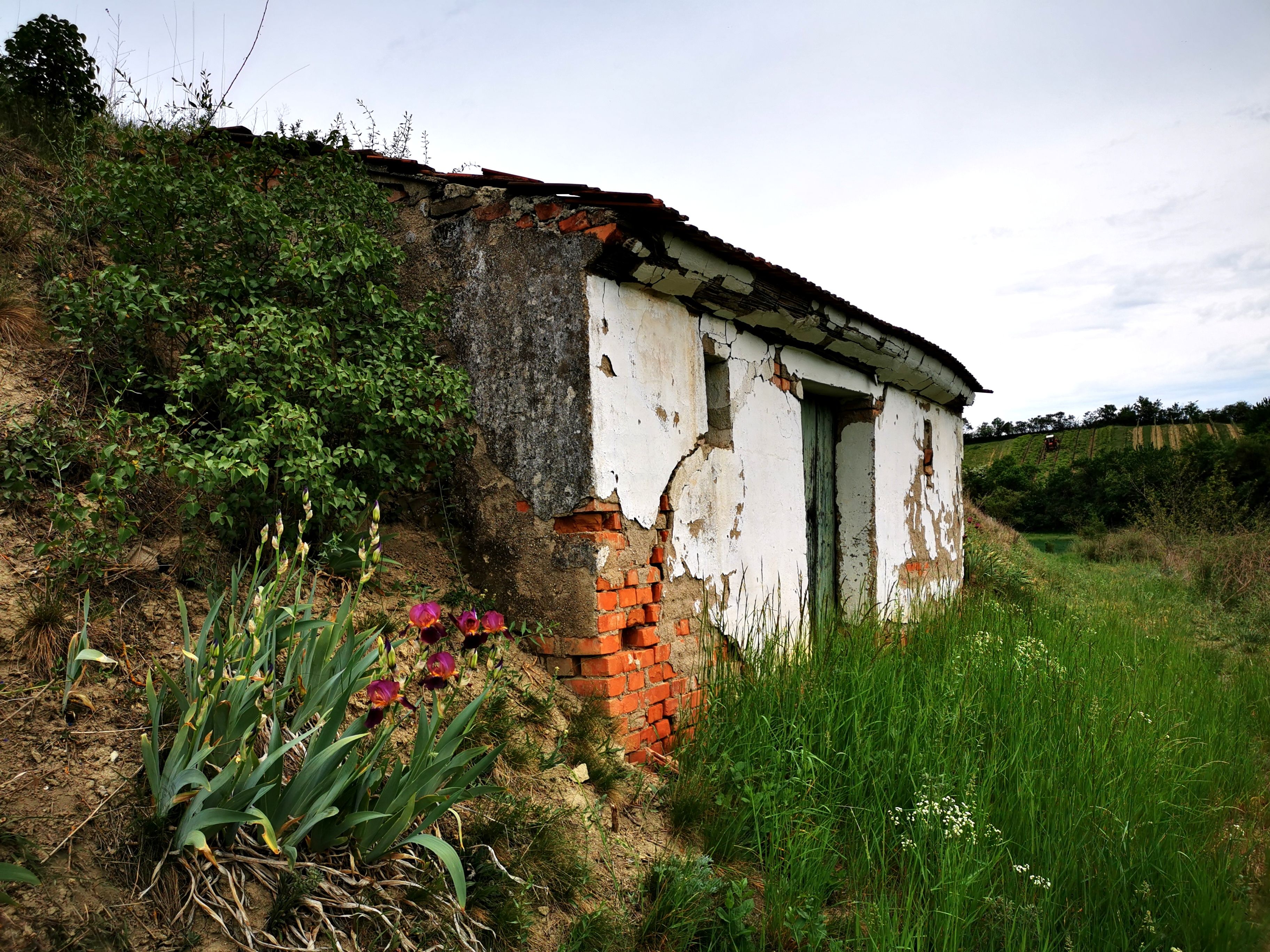 Old building with a crumbling façade in a rural setting, surrounded by grass and flowers.