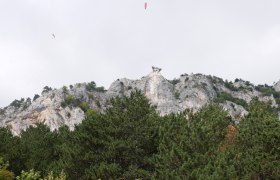 View of a skywalk on a rocky mountain with trees in the foreground.