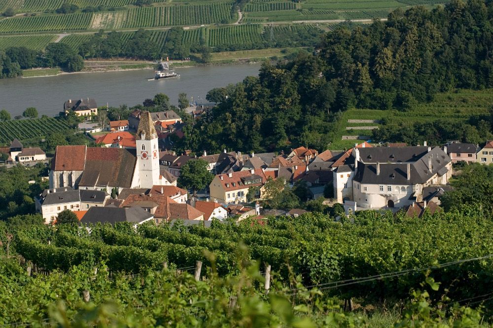 View of the Spitz parish church and surrounding vineyards.