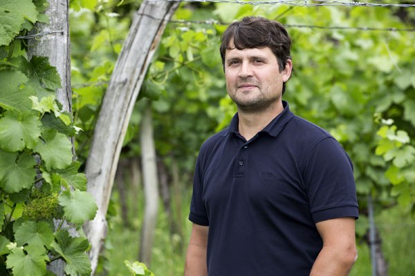 Man in a vineyard with green vines in the background.