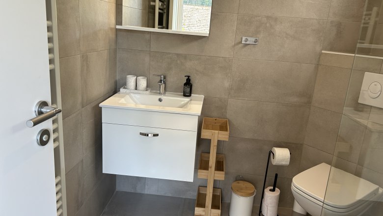 Modern bathroom with washbasin, mirror, toilet and shelves.