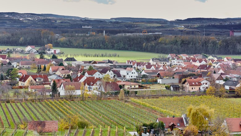 View of the village of Rohrendorf with vineyards in the foreground and hills in the background.