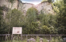 Information board on the theme trail, &copy; Daniela Matejschek