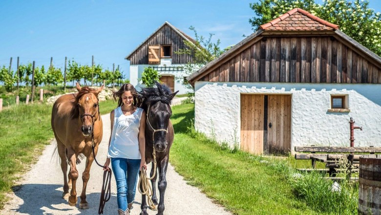 A woman leads two horses along a rural path, surrounded by green meadows and traditional buildings.